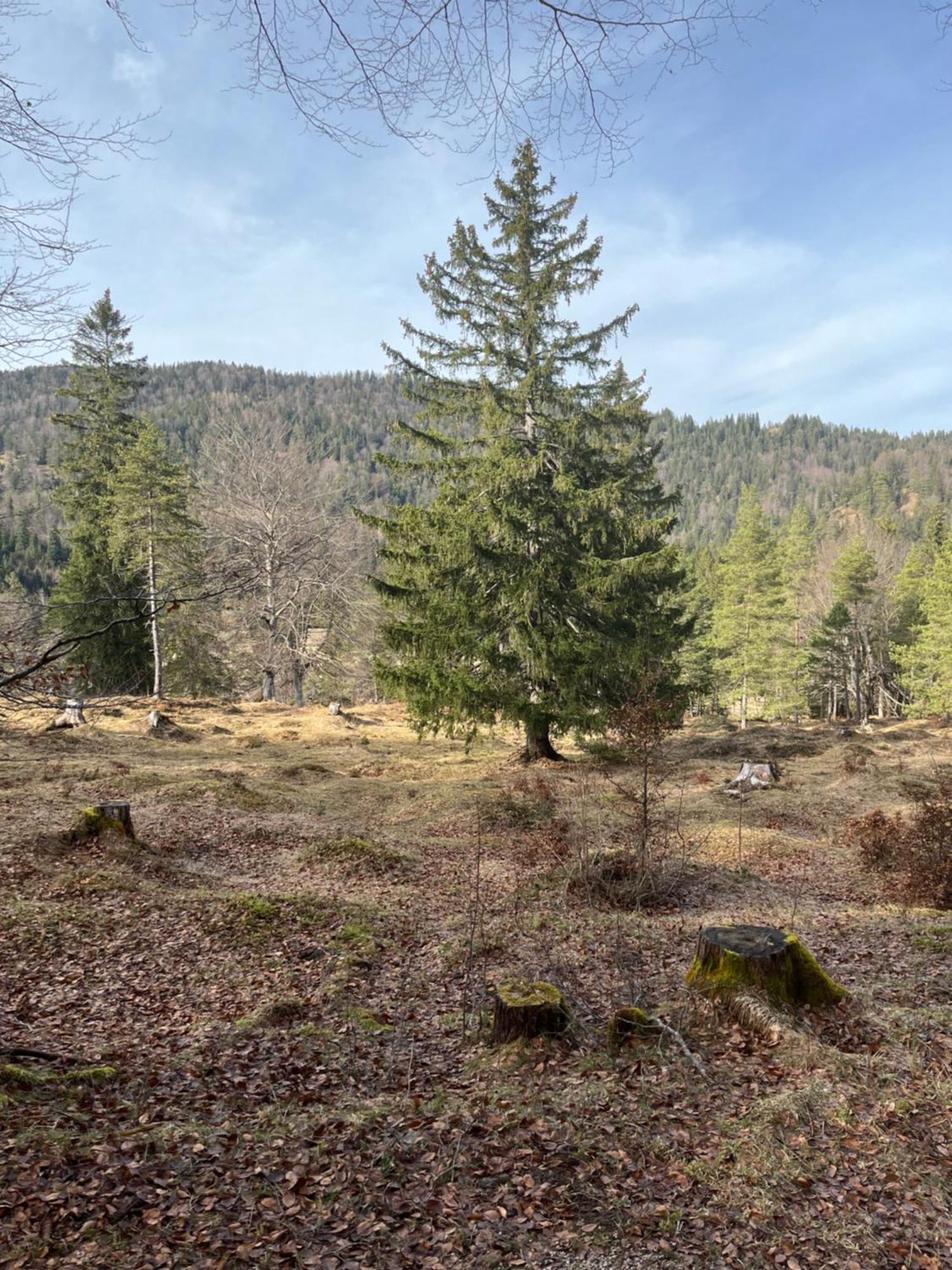 Fewo Lautersee Mittenwald Ngoại thất bức ảnh