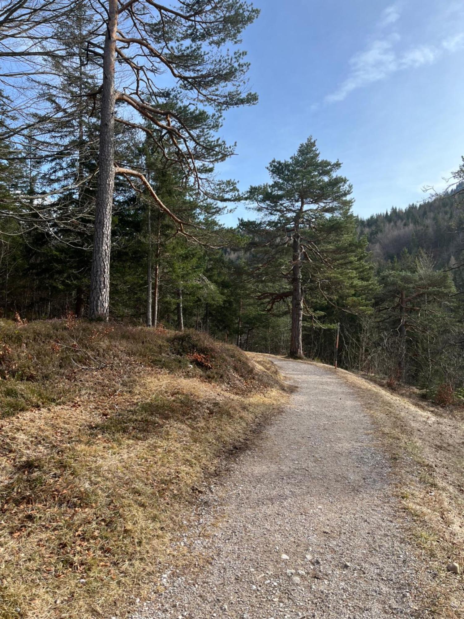 Fewo Lautersee Mittenwald Ngoại thất bức ảnh